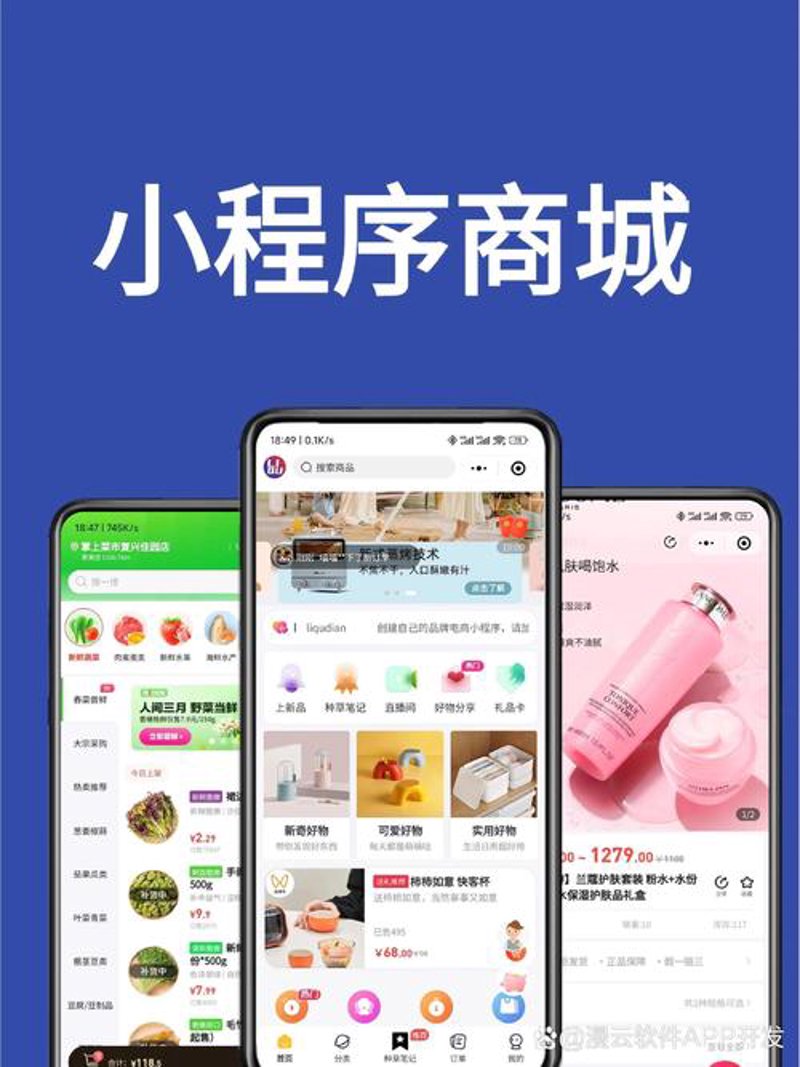 如何选择合适的软件定制开发服务？